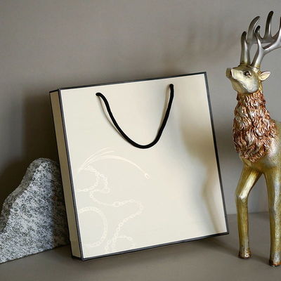 Custom Logo Printed Luxury Gift Paper Bag Jewelry White Cardboard Shopping Paper Bags