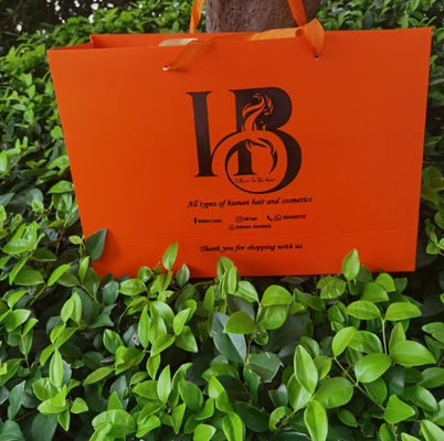 Personalized Courier Fashionable Paper Shopping Bags Euro Shopper Paper Bag