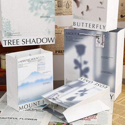 Custom Color White Heavy Capacity Size Luxury Gift Blank Package Handle Paper Bag Tote Kraft Paper Shopping Bag