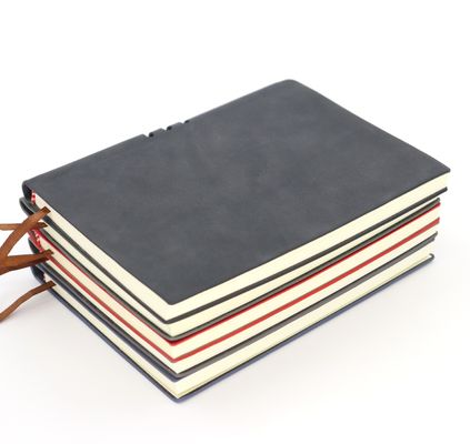 Custom Logo Multicolor Premium Business Meeting Diary Planner Leather Cover With Pen Holder