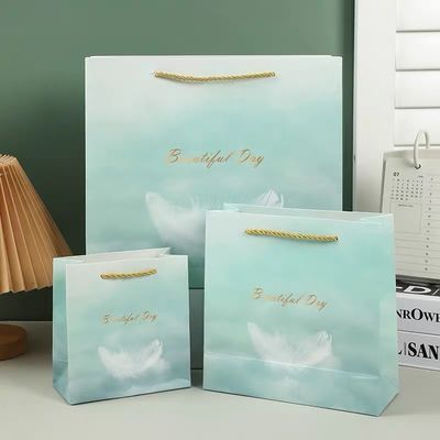 Customizable Colorful Paper Bags for Seasonal Gifts and Promotions