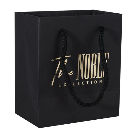 Shopping Paper Bag Printed Retail Gift Craft Jewelry Paper Cosmetic Packaging Bag