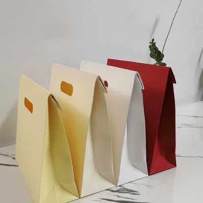 Good price Luxury Clothing Gift Bags With Customizable Logo Printing Premium Hand Carry Bags For Fashion Gifts Branding online