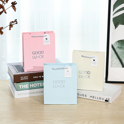 Eco-Friendly Paper Gift Bags with Rope Handles for Clothing